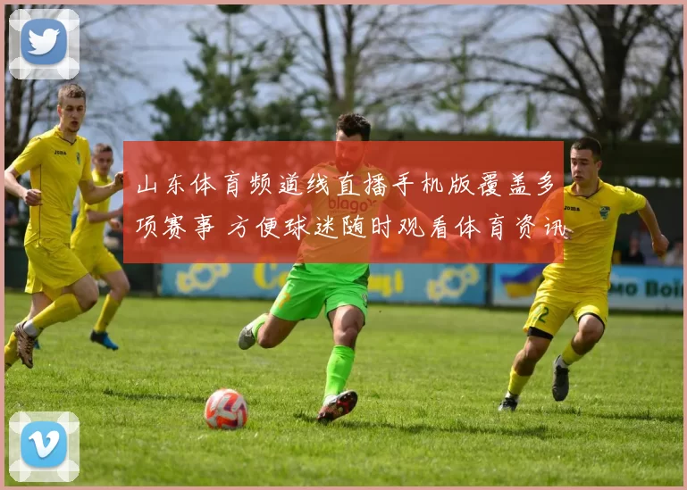 山东体育频道线直播手机版覆盖多项赛事 方便球迷随时观看体育资讯
